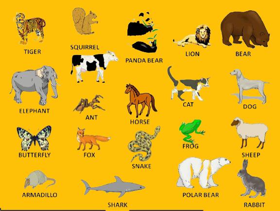 bütün hayvanların isimleri